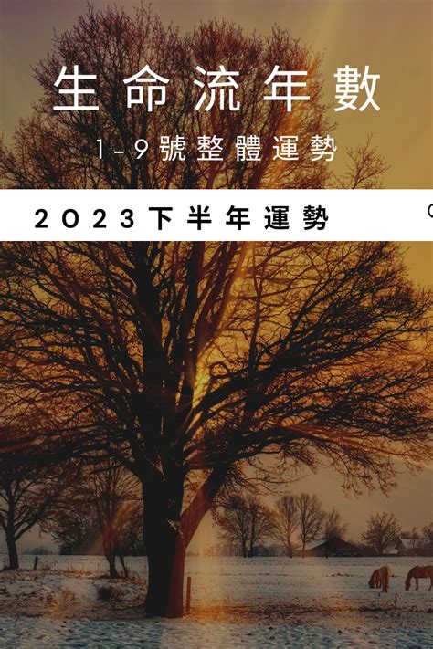 流年算法|2023生命流年數看整體運勢，找到年度幸運方向（含。